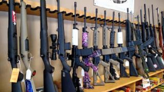 Firearms & Sporting Goods Store for Sale in NC