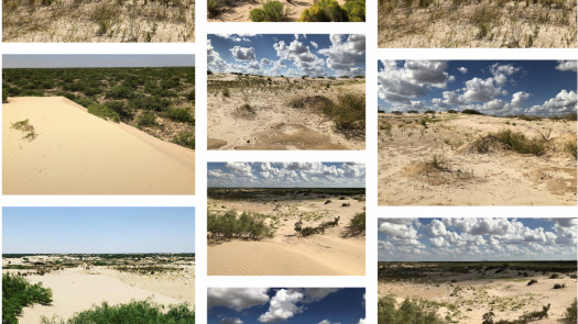 Silica Frac Sand For Sale Or Lease West Texas