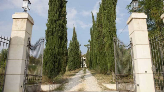 Top Italian Organic Winery For Sale