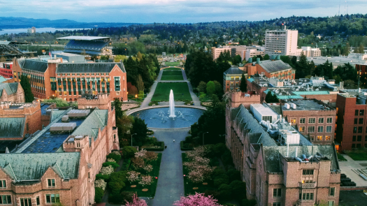 General Dental Practice Near the UW Seattle
