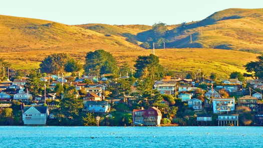 Profitable Vet Practice in Sonoma County, CA