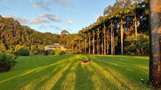 Luxurious Hawaiian Working Farm Retreat