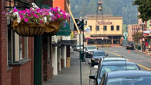 El Dorado County, CA Modern Veterinary Hospital