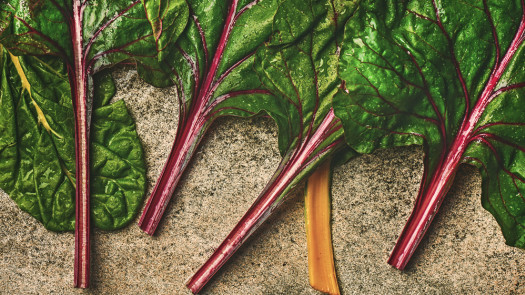 Food Hub and Distribution Company