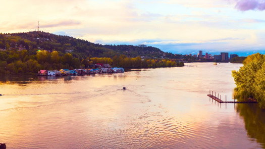 Clackamas Co, OR Veterinary Practice Near I-5