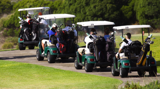 Growing Golf Cart Sales Biz $100,000+ Earnings