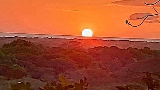 Rancho Pinilla Pristine Development Land