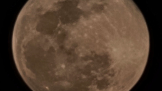 Energy Futures Trader