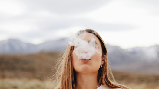 Premium Vape & Smoke Retail Platform - 20+ Stores