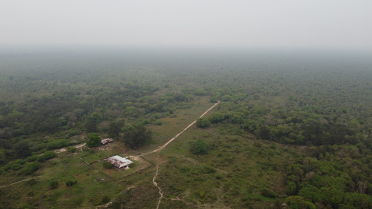 Prime 2,895-Hectare Cattle Ranch in Paraguay