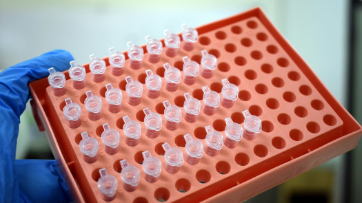 North Florida Molecular laboratory