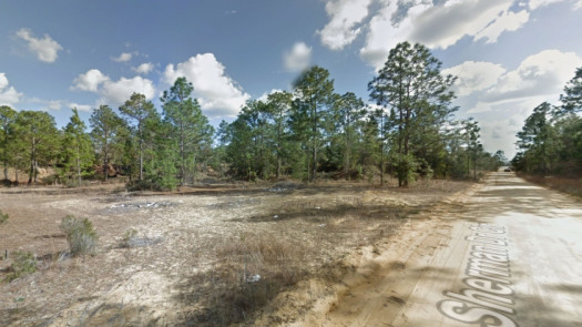Nice Lot In Interlachen Florida