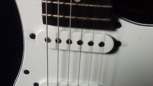 Seek Small Regional Trucking Companies