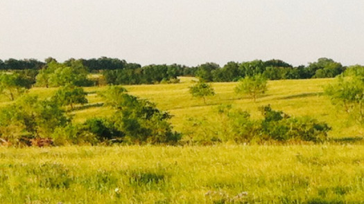 250 Ac In Ellis County Texas Ready For Development