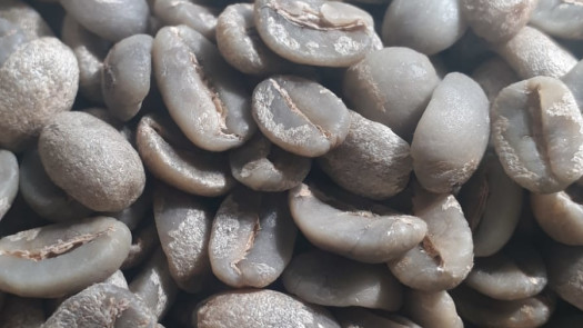 Supreme European Green Coffee