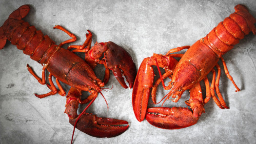 Seafood Processing & Handling