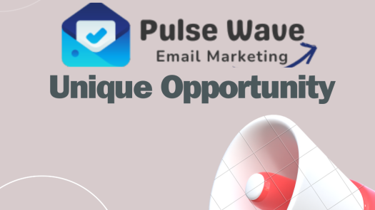 Massive Profits: SAAS Email Platform