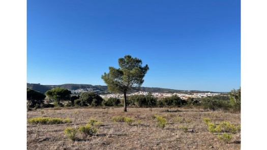 Large Development Plot Portugal (Algarve)