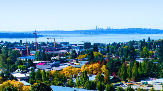 Western Washington, Eastside Endodontic Practice