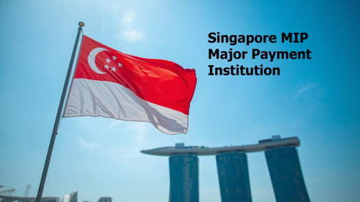 Singapore Major Payment Institution- MIP for sale
