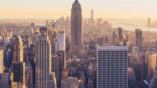 Specialty Veterinary Practice in NYC for Sale