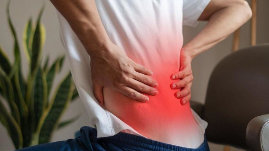 Established Chiropractic & Physical Therapy