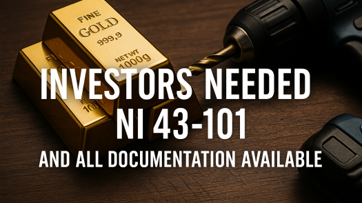 Patners Needed for Gold Mine Acquisition