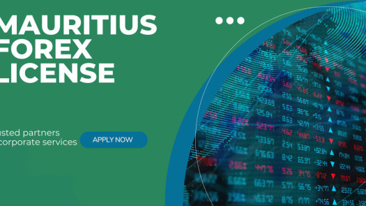 Ready-made Forex broker company in Mauritius