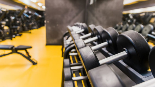 Large Full-Service Fitness Club with Strong Recurring Revenue