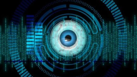 Patented US Based World Leader Iris Recognition