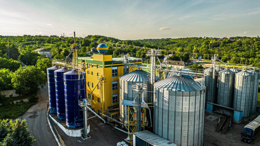 Moldova’s Top Confection Sunflower Seeds