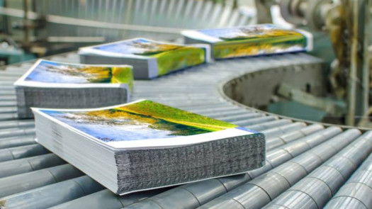 Established Printing & Marketing Franchise for Resale