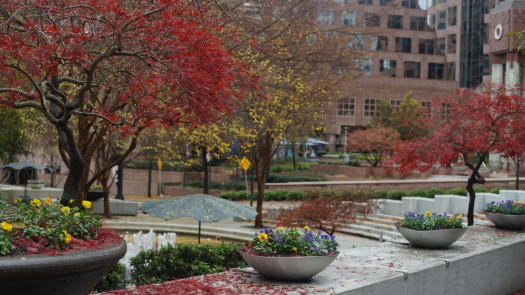 Mooresville-Statesville Area CPA - High Cash Flow