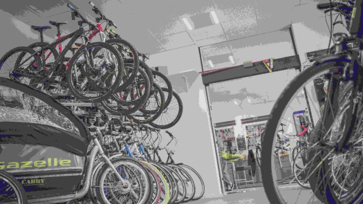 Thriving Bicycle & Accessories Shop in Eastern Ontario – 18+ Years of Loyal