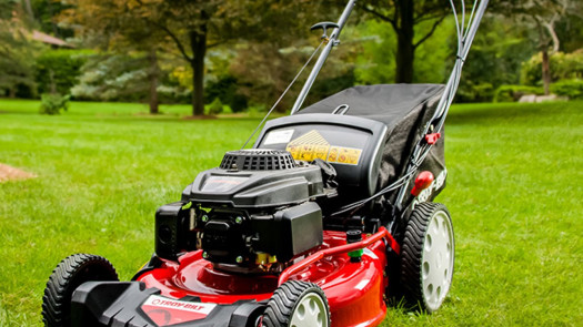 Close to $300,000 With Property / North Florida Small Engine Repair