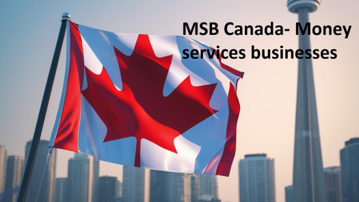 Canadian MSB for sale