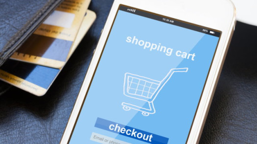 Relocatable E-commerce Business for Sale - Calgary