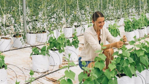 8+ Y/O African Agtech & Agritech Firm