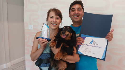 Dog Training Franchise – Seller Financing