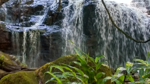 75,000 Hectareas Block in Northern Argentina