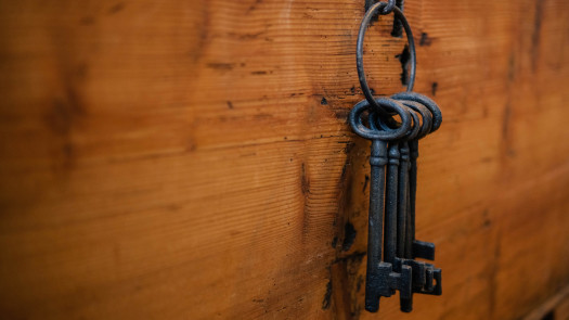 Physical Security Service Provider