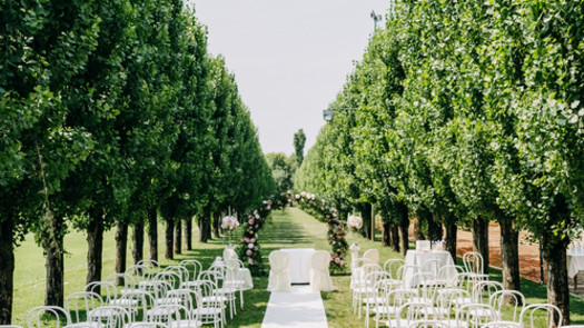 Discover Your Dream Wedding Venue