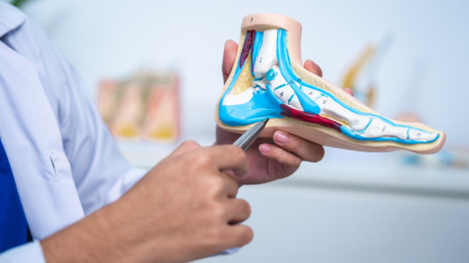 Established Market Leading Podiatry Practice