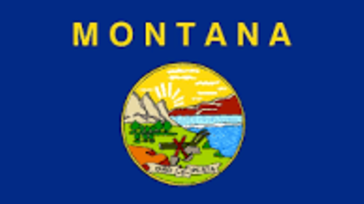 Chiropractic Business/Practice for Sale