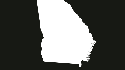 Eastman, GA, Practice for Sale