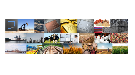 Consultation for Financing Services | SBLC