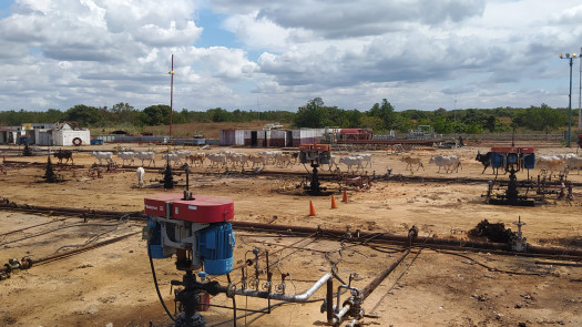 Unlock Greater Oil Production