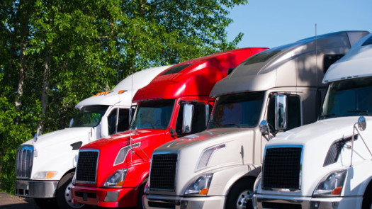 Transportation Company-Refrigerated and Dry Van