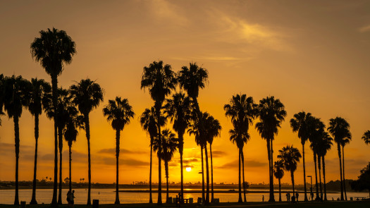 Palm Springs Area, CA Chiropractic Practice