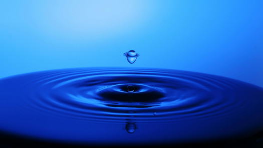 Award Winning Wellness & Recovery Studio